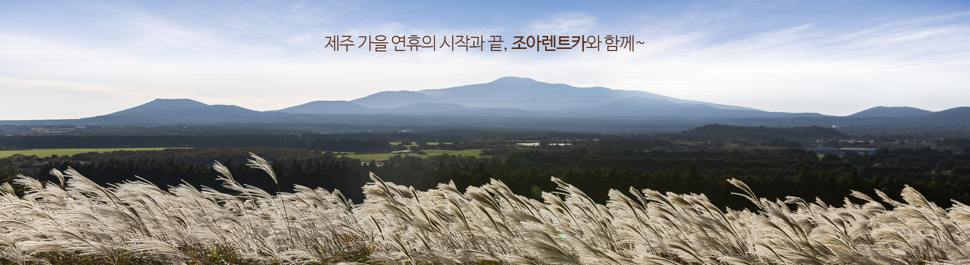가을 조아렌트카